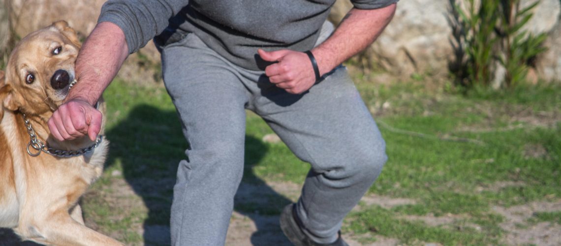 Depositphotos_332004456_XL